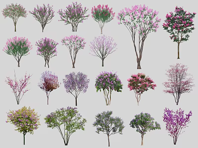 Various Types Of Colorful Flowering Trees With Diverse Foliage And Shapes 3d model