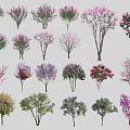 Various Types Of Colorful Flowering Trees With Diverse Foliage And Shapes