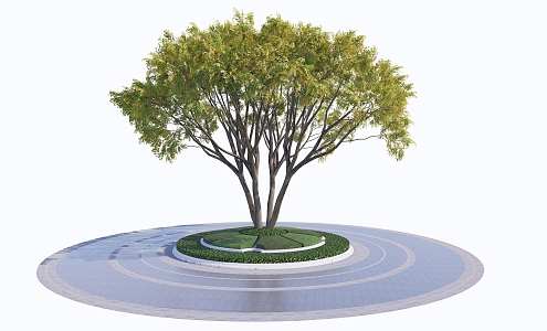 Modern Tree Pool Landscape Trees 3d model