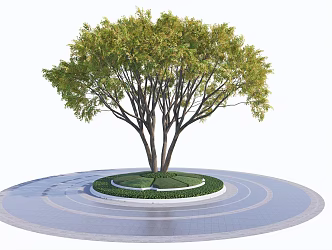 Modern Tree Pool Landscape Trees 3d model