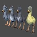 Modern Bird Desert Land Bird 3d model