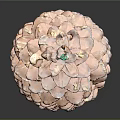Natural Brown Pine Cone With Green Tip On Top Against Dark Background