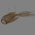 Woven Fish Shaped Hanging Art Installation With Fringed Tail And Natural Material