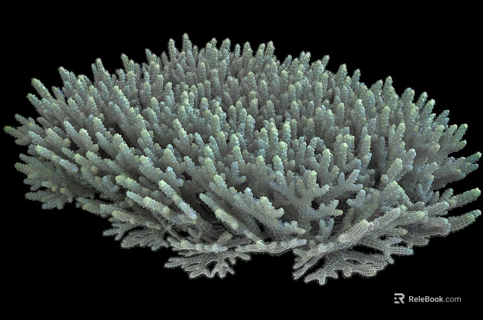 Aquatic Animals Inhabiting Branching Coral Structure Underwater Habitat 3d model 
