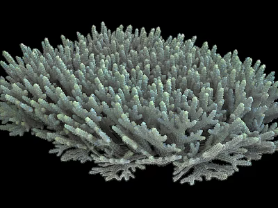 Aquatic Animals Inhabiting Branching Coral Structure Underwater Habitat 3d model