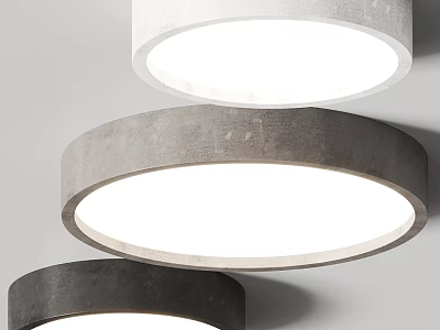 Modern Round Ceiling Lights in Black Gray White for Home Interior Lighting 3d model