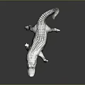 Crocodile Alligator Nile Crocodile carnivore reptile cold-blooded animal reptile 3d model