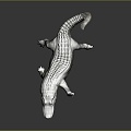 Crocodile Alligator Nile Crocodile carnivore reptile cold-blooded animal reptile reptile 3d model