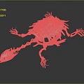 White Turtle Like Anatomical Organ And Hair Structure With Spiky Hair Projections