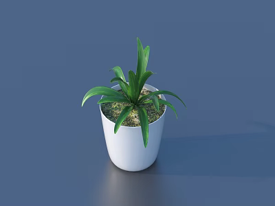Bonsai Potted Plant with White Ceramic Pot and Fresh Green Leaves on Dark Surface 3d model