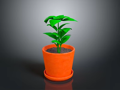 Green Potted Plant With Fresh Leaves In Orange Terracotta Pot And Saucer 3d model