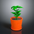 Green Potted Plant With Fresh Leaves In Orange Terracotta Pot And Saucer