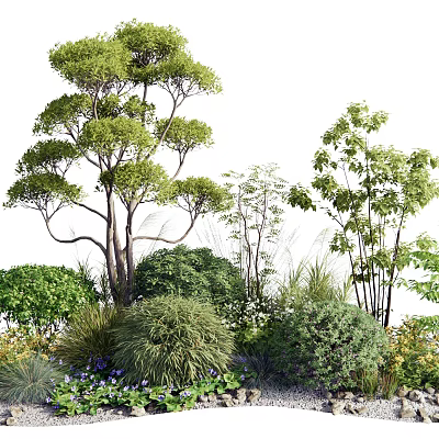 Arbor 3d models