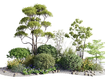 Different Types Of Green Shrubs In Garden Landscape With Trees And Stones 3d model