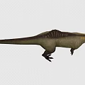 Dinosaur Tyrannosaurus rex Reptiles Ancient creatures carnivorous dinosaur Jurassic low face number low model simple model game film and television level super realistic 3d model
