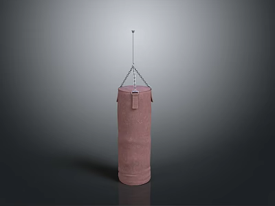 Pink Canvas Hanging Punching Bag With Chain On Gray Background 3d model