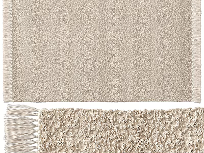 Square Rug With Soft Textured Surface And Fringe Detail For Home Decor 3d model