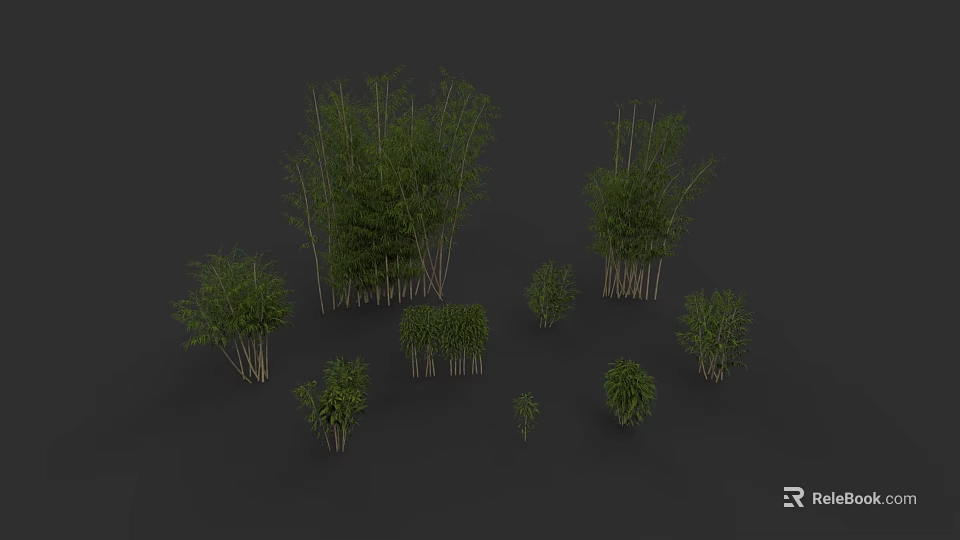 Different Types Of Bamboo Plants With Green Foliage And Tall Stems Displayed In Clusters 3d model 