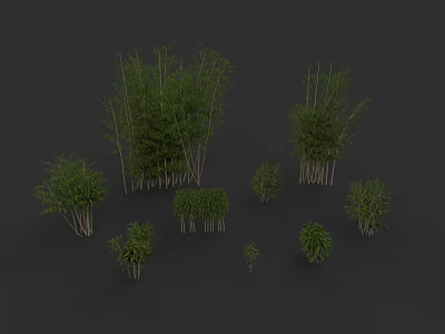 Different Types Of Bamboo Plants With Green Foliage And Tall Stems Displayed In Clusters 3d model