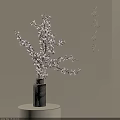 White Cylindrical Vase With Pink Cherry Blossom Branches In Indoor Floral Setting