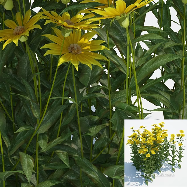 Vibrant Yellow Flowers with Lush Green Leaves in Garden 3d model 