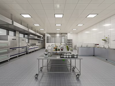 Commercial Kitchen Neat Layout With Stainless Steel Worktable Trolley White Tiled Walls And Recessed Lights 3d model
