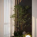 Indoor Landscape With White Curtains Dark Vertical Striped Wall Green Plant And Sunlight Shadows