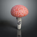 Red Cracked Cap Mushroom With White Stem And Gray Spots On Black Background