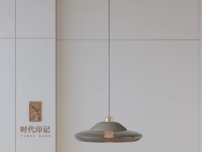 Modern Disc Shaped Gray Pendant Light With Golden Base On White Wall 3d model