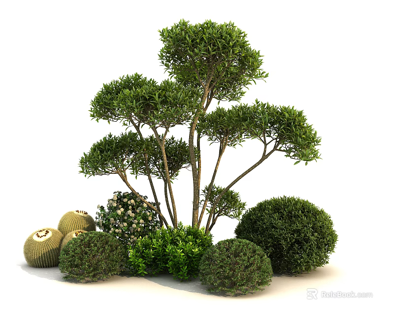 Different Types of Garden Plants with Tall Trees Round Shrubs and Green Foliage 3d model 