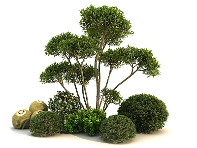 Different Types of Garden Plants with Tall Trees Round Shrubs and Green Foliage 3d model