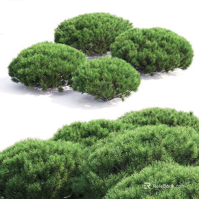 Lush Green Evergreen Arbors With Round Crowns And Dense Foliage 3d model 