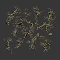 Multiple Dry Tree Models With Intricate Branch Structures And Natural Shapes