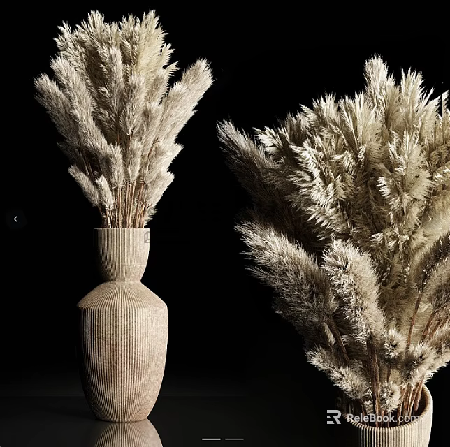 Textured Beige Vase with Dried Fluffy Pampas Grass Flowers Against Black Background 3d model 