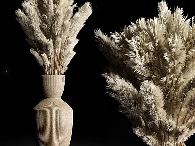Textured Beige Vase with Dried Fluffy Pampas Grass Flowers Against Black Background 3d model