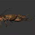 Detailed 3D Rendering of a Cricket with Antennae Legs and Exoskeleton Features