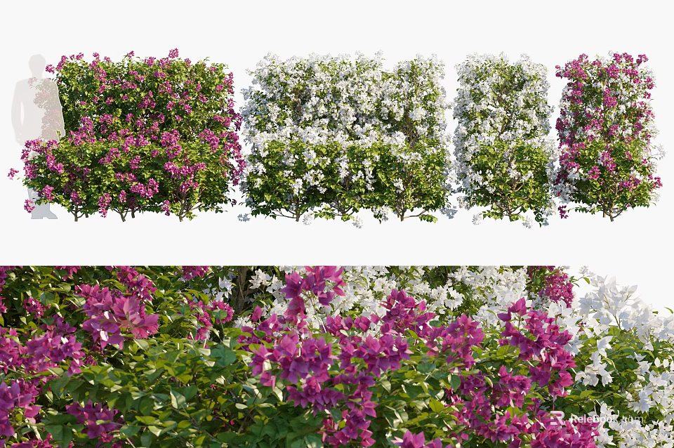 Lush Green Living Wall With Purple And White Flowers For Decorative Design 3d model 