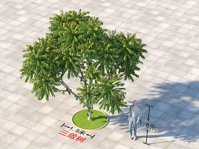 Arbor 8 Meters Tall In Circular Green Area On Square Pavement 3d model