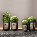 CCD Hotel Mossy Ball Potted Green Plant Bonsai Flower Pot 3d model