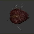 Red Hairy Creature With Long Thin Legs Oval Body And Dark Background