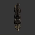 Lifelike Standing Wolf Sculpture With Gray Brown Fur And Natural Posture