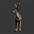 Deer With Large Antlers Standing On Black Background Showing Brown Fur