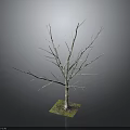 Detailed Bare Tree 3D Model Featuring Wooden Trunk and Stone Base Displayed on Gray Surface