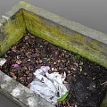 Mossy Stone Rectangular Planter With Soil And Fallen Leaves For Garden Decor