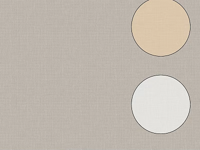 Two Circular Components on Gray Background with Light Brown and White Shades 3d model