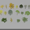 Various Arbor Trees With Different Colored Leaves And Shapes Arranged On White Background