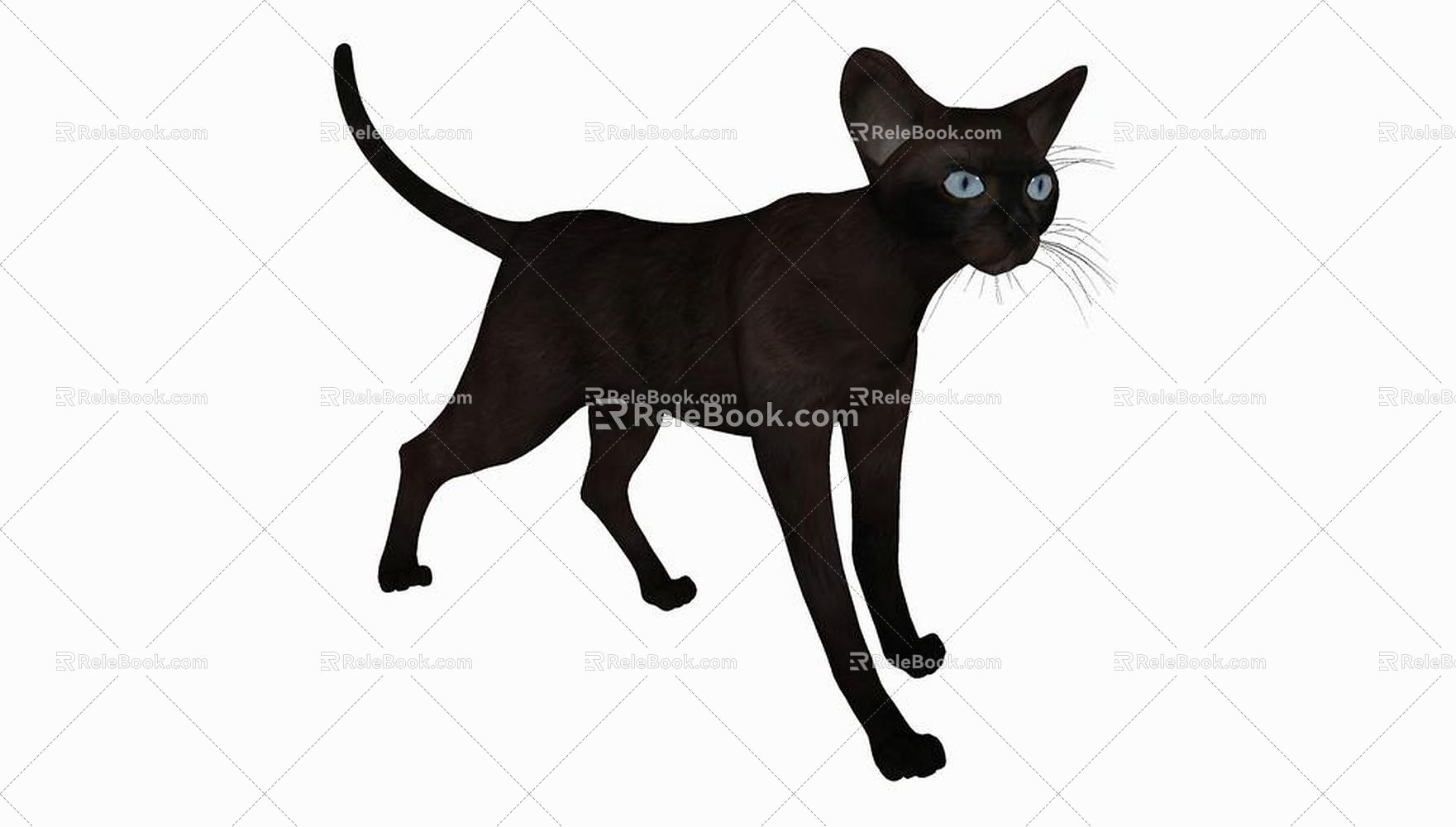 Modern Cat Animal Cat 3d model