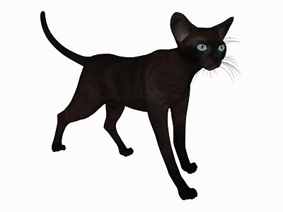 Black Reptile With Bright Blue Eyes Standing In Upright Alert Stance 3d model