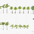 Various Types of Trees Display With Green Foliage And Diverse Trunk Shapes