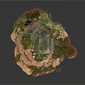 Modern Natural Stone Decor With Green Moss Small Plants And Earth Base